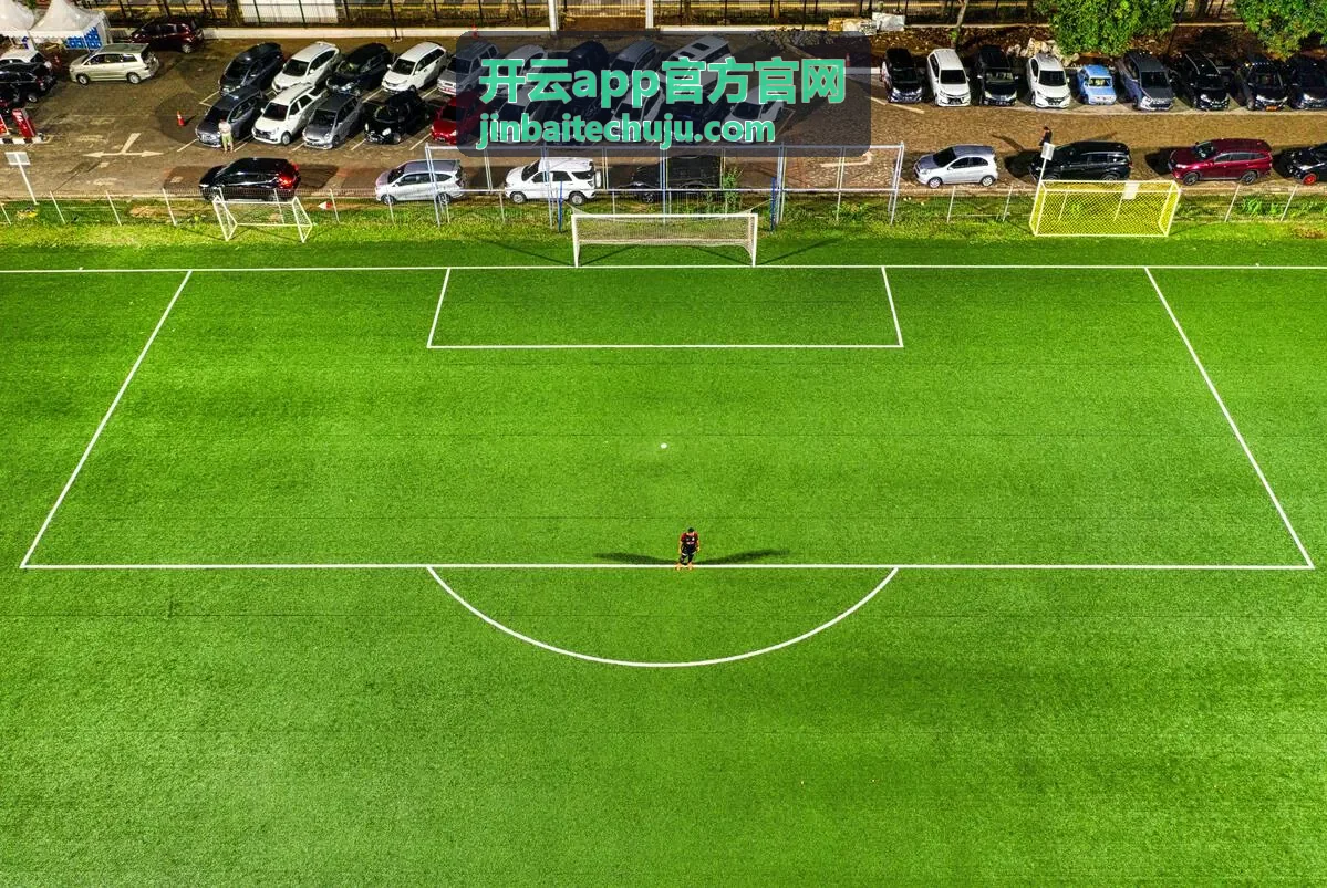 开云app官方官网下载与安装频道说明配图
