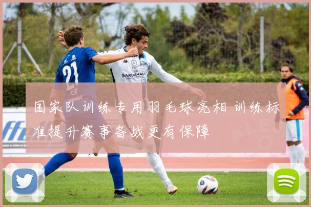 国家队训练专用羽毛球亮相 训练标准提升赛事备战更有保障