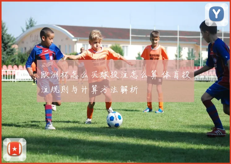 欧洲杯怎么买球投注怎么算 体育投注规则与计算方法解析