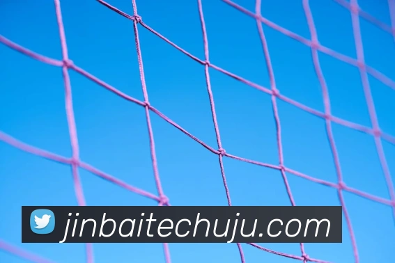 qy球友会官网全站App